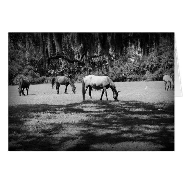 Cumberland in Schwarz (Vorderseite (Horizontal))