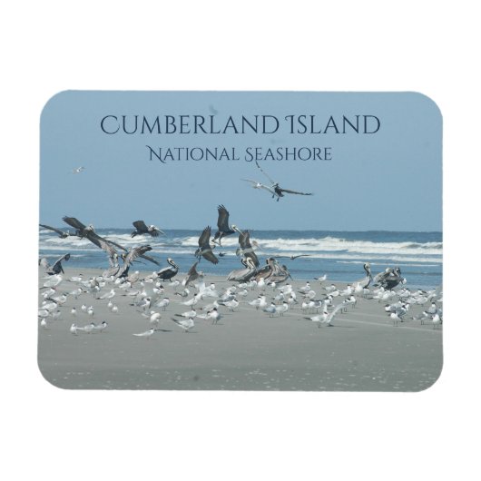 Cumberland Island Beach, Flocking Birnen, Ozean Magnet (Horizontal)