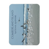 Cumberland Island Beach, Flocking Birnen, Ozean Magnet (Vertikal)