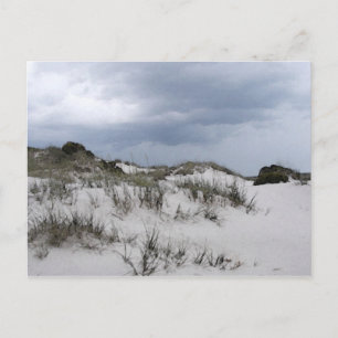 Cumberland Island Dünen Postkarte