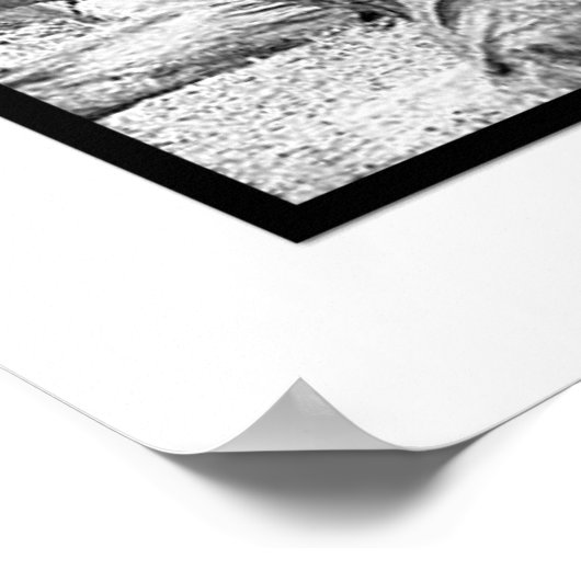 Cumberland Island, GA Poster (Ecke)