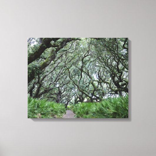 Cumberland Island Leinwanddruck (Vorderseite)