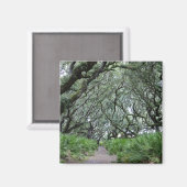 Cumberland Island Magnet (Vorderseite/Rückseite)