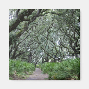 Cumberland Island Magnet