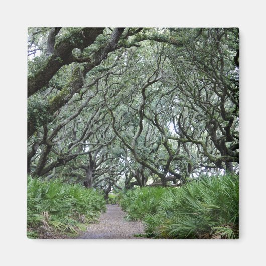 Cumberland Island Magnet (Vorne)