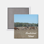 Cumberland Island Wilde Pferde Foto Magnet Georgia (Vorderseite/Rückseite)