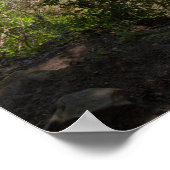Cumberland River Overlook, Kentucky Poster (Ecke)