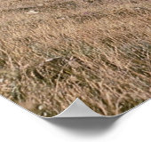 Cumbres and Toltec Railroad, Nr. 487 und Nr. 484m, Poster (Ecke)