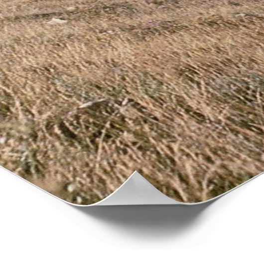 Cumbres and Toltec Railroad, Nr. 487 und Nr. 484m, Poster (Ecke)