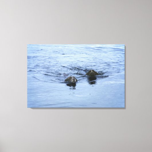 Cumbria england leinwanddruck (Vorderseite)