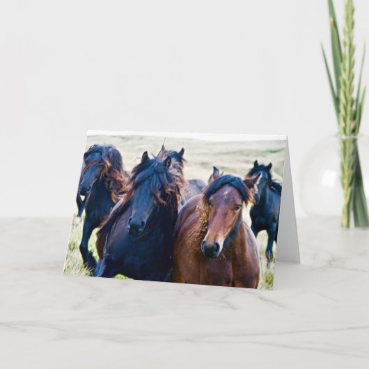 Cumbrian Fell Ponies Karte (Vorderseite)