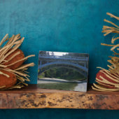 Cummins Creek im Neptune Staat Park, OR Fotoplatte (Seite)