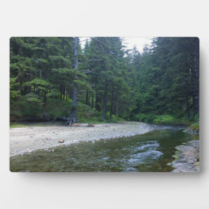 Cummins Creek im Neptune Staat Park, OR Fotoplatte