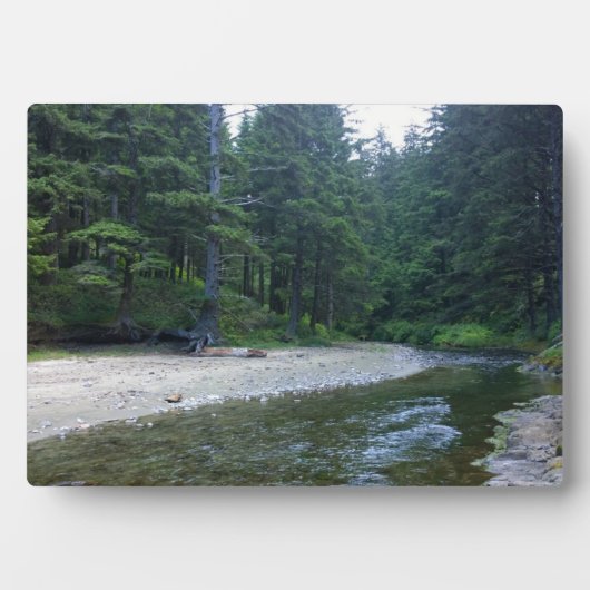 Cummins Creek im Neptune Staat Park, OR Fotoplatte (Vorderseite)