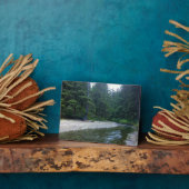 Cummins Creek im Neptune Staat Park, OR Fotoplatte (Seite)