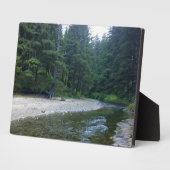 Cummins Creek im Neptune Staat Park, OR Fotoplatte (Seite)