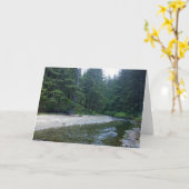 Cummins Creek im Neptune Staat Park, OR Karte (Gelbe Blume)