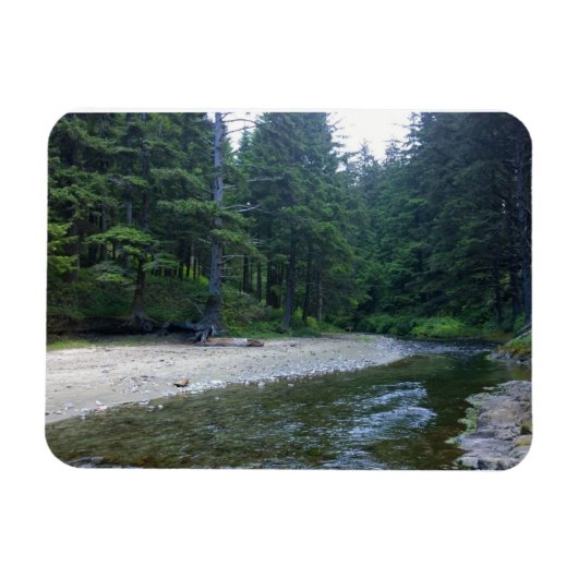 Cummins Creek im Neptune Staat Park, OR Magnet (Horizontal)