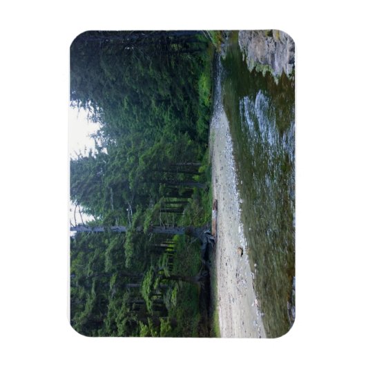 Cummins Creek im Neptune Staat Park, OR Magnet (Vertikal)