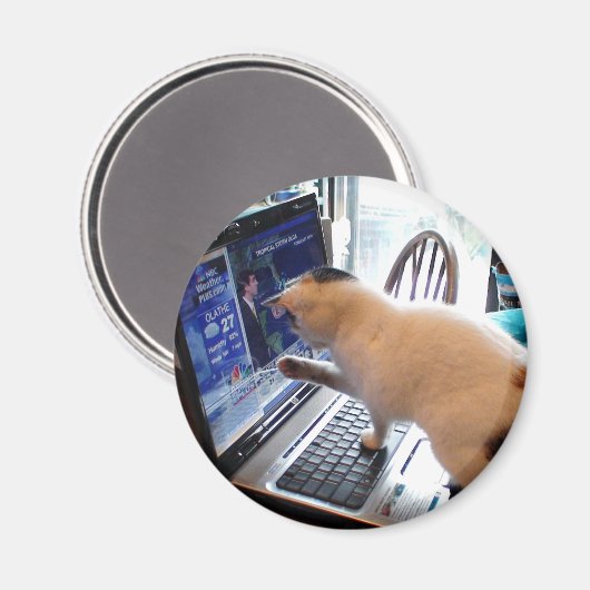 Cumputer Cat Magnet (Vorderseite/Rückseite)