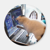 Cumputer Cat Magnet (Vorne)