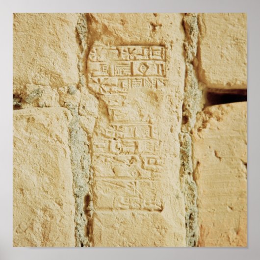 Cuneiform-Skript auf einer Palmwand Poster (Vorne)