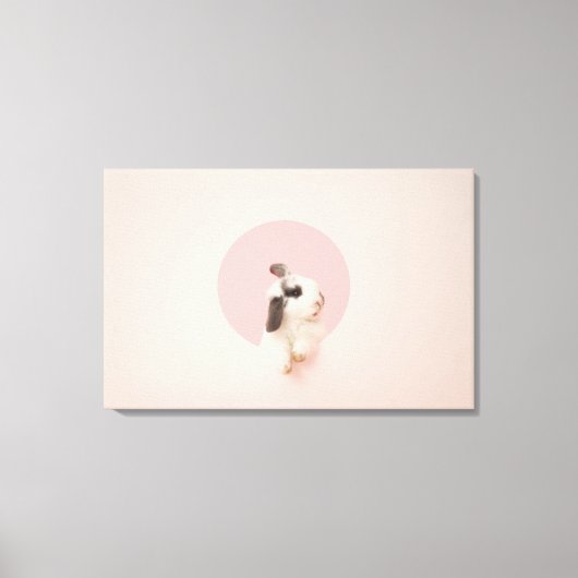 Cuniculus Leinwanddruck (Vorderseite)