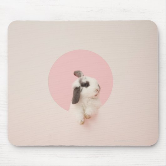Cuniculus Mousepad (Vorne)