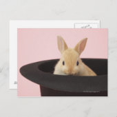Cuniculus Postkarte (Vorne/Hinten)