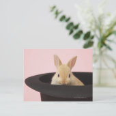 Cuniculus Postkarte (Stehend Vorderseite)