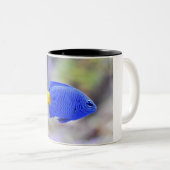 Cup mit Lucky Fish Zweifarbige Tasse (VorderseiteRechts)
