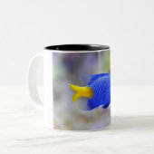Cup mit Lucky Fish Zweifarbige Tasse (Vorderseite Links)