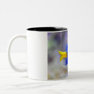Cup mit Lucky Fish Zweifarbige Tasse