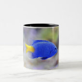 Cup mit Lucky Fish Zweifarbige Tasse (Mittel)