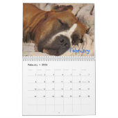 Cupcake-Kalender Kalender (Feb 2026)