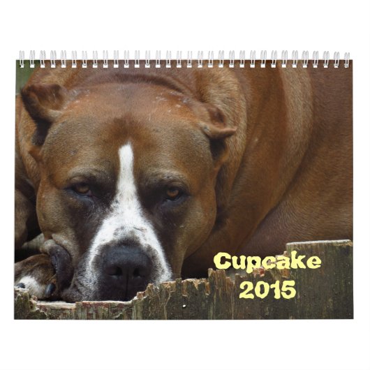 Cupcake-Kalender Kalender (Titelbild)