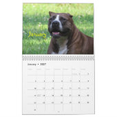 Cupcake-Kalender Kalender (Jan 2027)