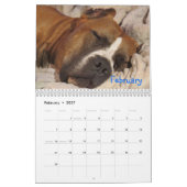 Cupcake-Kalender Kalender (Feb 2027)