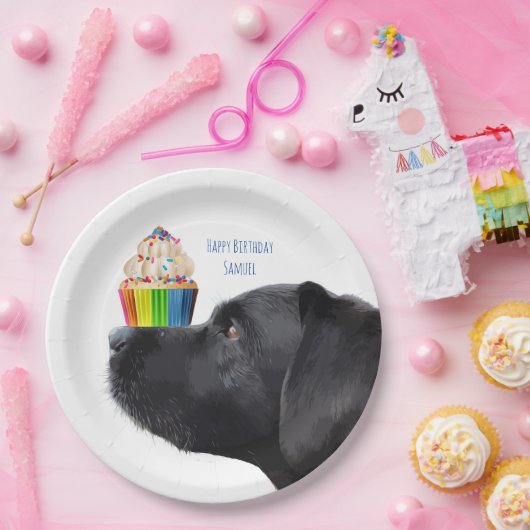 Cupcake - Schwarzes Labor Pappteller (Party)