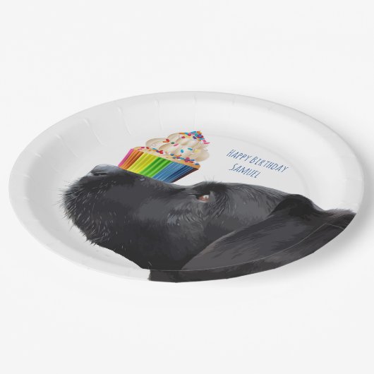 Cupcake - Schwarzes Labor Pappteller (Schrägansicht)