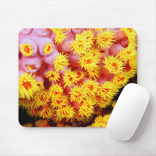 cupcoral mousepad (Mit Mouse)