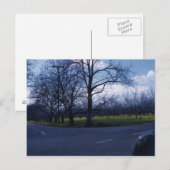 Cupertino Orchard 1960 Postkarte (Vorne/Hinten)