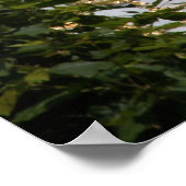 Cupola Poster (Ecke)