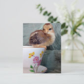 Cups Postkarte (Stehend Vorderseite)