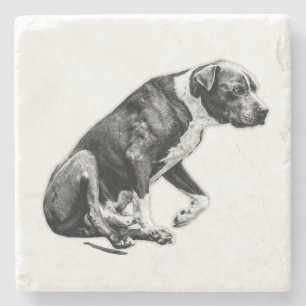 Cupside Companion - Pausierte Haltung Steinuntersetzer