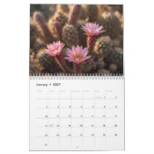 Curacao dream vacation kalender (Jan 2027)