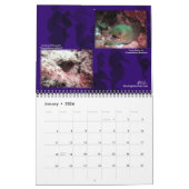 Curacao-Erinnerungen-Kalender Kalender (Jan 2026)