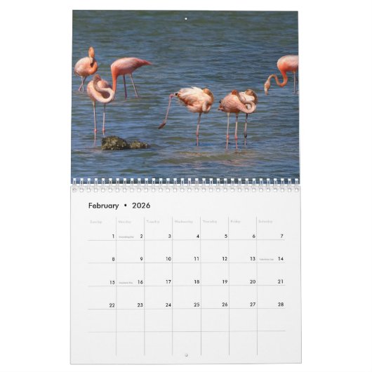 Curaçao-Foto Kalender (Feb 2026)