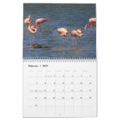 Curaçao-Foto Kalender (Feb 2027)