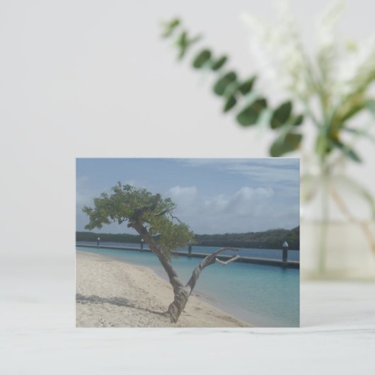 Curacao Postkarte (Stehend Vorderseite)